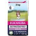 Eukanuba Welpenfutter getreidefrei mit Lamm für kleine und mittelgroße Rassen - Trockenfutter ohne Getreide für Junior Hunde, 3 kg