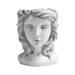 Resin Head Planter Pot Face Planters Pot Centerpieces Resin Goddess Head Planter Girl Head Vase for Living Room Hotel Cafe Porch Courtyard gray