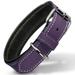 Filbert Padded Leather Dog Collar for Large Dogs Medium & Small Dogs Leather Collar for Dogs Purple Dog Collar +12 Colors Genuine Leather Dog Collars + Leather Lining Luxury Dog Collar