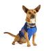 Stripe Sweater for Dogs, XX-Small, Blue, Blue / Multi-Color