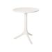 Winston Porter Giannie Round 23.6" Outdoor Side Table Plastic in White | 16.9 H x 23.6 W x 23.6 D in | Wayfair ED8DB0D258C54137B2ED1759900216FE