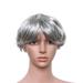 Hemoton Halloween Wig Short Grey Straight Center Parting Men Wig for Decoration Use