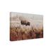 Union Rustic Crowne Lone Ranger On Canvas by Annie Bailey Graphic Art Canvas, Cotton in Brown | 12 H x 19 W x 2 D in | Wayfair
