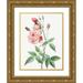 Redoute Pierre Joseph 25x32 Gold Ornate Wood Framed with Double Matting Museum Art Print Titled - Old Blush China Common Rose of India Rosa Indica Vulgaris