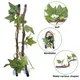 Plantes grimpantes de reptiles avec feuilles Terrarium plantes décoratives avec ventouse pour