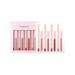 Terracotta Lipstick 4 Mattes Lipstick With 4 Lipliners Durable Lip Gloss Long Lasting Non Stick Cup Not Fade Waterproofs High Pigmented Velvet Lipgloss Kit Beauty Cosmetics Makeup Makeup Forever Lip