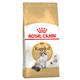 Royal Canin Ragdoll Adult Sparpaket: 2 x 10 kg