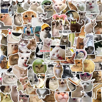 10/30/50/100pcs lustige Katze Meme Aufkleber DIY Fahrrad Skateboard Kühlschrank Laptop Gepäck klassisches Spielzeug Tier Aufkleber Graffiti Kind Aufkleber Image