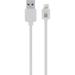 Case Logic Sync & Charge Lightning Cable (10', White) CL-LP-CA-002-WT