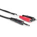 Hosa Technology Stereo 1/4" Male to 2 RCA Male Y-Cable (13.2') TRS-204