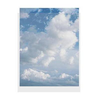 ClearFile Print Protector (8 x 10