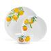 Studio Nova Oranges 12PC Dinnerware Set