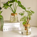 Vase en verre de décoration à la maison Petit vase de plantes hydroponiques volcano Vase