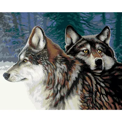 Malen nach Zahlen auf Leinwand Winterwölfe, 40 x 50 cm