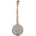 Deering Goodtime Deco Banjo