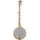 Deering Goodtime Deco Banjo