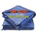 60 x 120 Blue Poly Tarp Cover Water Proof All-Purpose 5 Mil