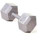 Champion Barbell Hex Dumbbell with Straight Handle 50 lbs