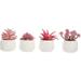 Mini Faux Succulents Plant with Pots 4 Pack Small Succulent Artificial Plants in Pots Artificial Plastic Plants Indoor Fake Desk Plants for Office Kitchen Bedroom Bathroom Decoration (Pink)