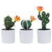3pcs Artificial Cactus Bonsai Ornament Creative Lifelike Cactus Figurines Decorative Fake Plant