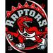 Photofile Toronto Raptors Team Logo Sports Photo - 8 x 10