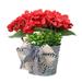 Artificial Outdoor Plants Red Geranium Bucket Wreath Artificial Spring Summer Wreath with Burlap Bow Front Door Outdoor Hanging Wreath for Farmhouse Cottage Porch Decor Spring Decor