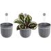 Hanging Planter Indoor Flowerpot Hanging Planter for Indoor and Outdoor Planting Mount or Ceiling (Gravel 3 Pack)