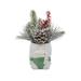 Flora Bunda Christmas Mix in Gnome Ceramic Pot - Green - 3.25X3X4