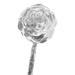 Plant Self Watering Globe - Clear Glass Rose Shape Water Bulb - Self Watering Planter Insert