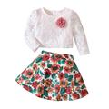 YDOJG Toddler Girls Outfit Set Long Sleeve Lace Flowers Decoration Tops Flowers Prints Skirt Outfits For 12-18 Months