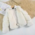 Aayomet Coat for Toddler Girls Sleeve Fall Winter Kids Zipper Up Solid Jackets Warm Woolen Leather (White 2-3 Years)
