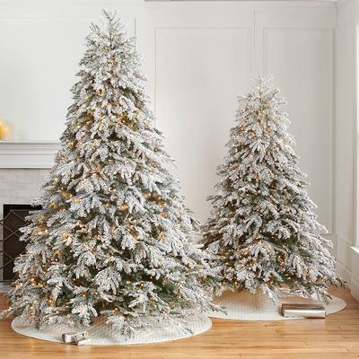 Frosted Canterbury Fir Tree - 7-1/2 Ft. - Frontgate - Christmas Tree