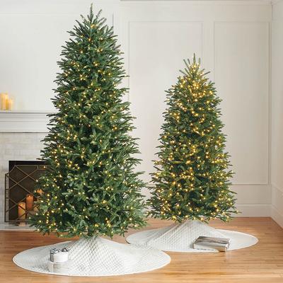 Windsor Noble Fir Slim Profile Tree - 10' - Frontgate - Christmas Tree