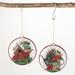 5.5"H Sullivans Cardinal Disc Ornament - Set of 2, Multicolored Christmas Ornaments - 5"L x 1.5"W x 5.5"H