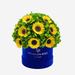 Classic Royal Blue Suede Box | Green Hydrangeas & Sunflowers