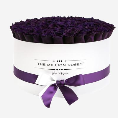 Deluxe White Box | Dark Purple Roses