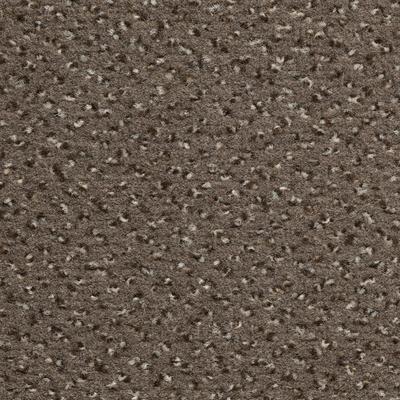 Teppichboden VORWERK "Passion 1006 (Riva), Velours - gemustert, Made in Germany", braun, B:400cm H:6,7mm L:450cm, Polyamid, Teppiche, Wohnzimmer, Schlafzimmer, Kinderzimmer, Breite 400/500 cm