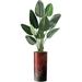 Artificial Tree In Modern Red & Black Paint Splatter Planter Fake Bird Of Paradise Silk Trees For Indoor And Outdoor Home Decoration - 67 Overall Tall (Plant Plus Tree)