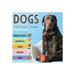 TF Publishing - Daily calendar - desktop - 2024 - dog a day - day to view - - dated