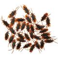 100Pcs Fake Toy Halloween Props Party Supplies Funny Halloween Animal Figures Kids Gifts Funny Trick Joke Toys Roach for Holiday