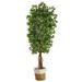 Nearly Natural T3065 7.5 ft. Artificial Deluxe Ficus Tree with Handmade Jute & Cotton Basket Green