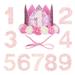 BESTONZON Dog Birthday Crown Hat with 1-9 Numbers Kitten Headband Hat Pet Cat Puppy Grooming Accessories