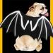 Biekopu Pet Cat Bat Wings Funny Cute Dog Cosplay Costume for Puppy Kitten Halloween Party Decoration Supplies