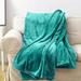 Everly Quinn Lolly Warm Cozy Super Soft Throw Polyester | Twin | Wayfair CE84A51B89D2456F8D4656C1B5C169B1