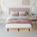 Latitude Run® Queen Platform Bed Upholstered/Velvet in Pink | 37 H x 62.2 W x 81.7 D in | Wayfair 9376B81B25914509B5CE5BCC60F86B57