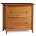 Copeland Furniture Sarah 2-Drawer File Wood in Brown | Wayfair 4-SAR-30-53