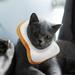 Pet headgear POPETPOP Adorable Bread Shape Headgear Cotton Cat Headdress Funny Pet Costume