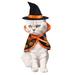 1 Set Halloween Pet Costume Pet Hat and Cloak Decorative Halloween Pet Garment