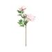 Meuva 2 Bouquets Artificial Peonies Dark Pink Light Pink Peony Flowers Of Peony Branches For Wedding Home Office Wet Foam Garland Artificial Winter Flowers Artificial Flower Arrangements