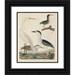 John G. Warnicke 20x24 Black Ornate Framed Double Matted Museum Art Print Titled: Green Heron Night Heron Young Heron and Great White Heron (1808-1814)
